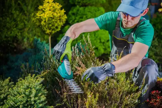 landscaping services North Babylon